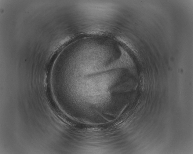 X0000089680692200707121249