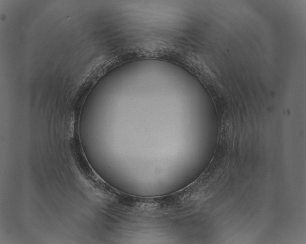 X0000089680694200707121249