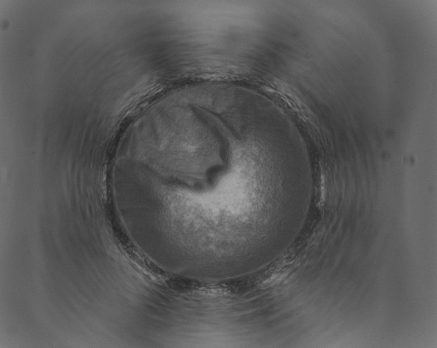 X0000089680696200707121249