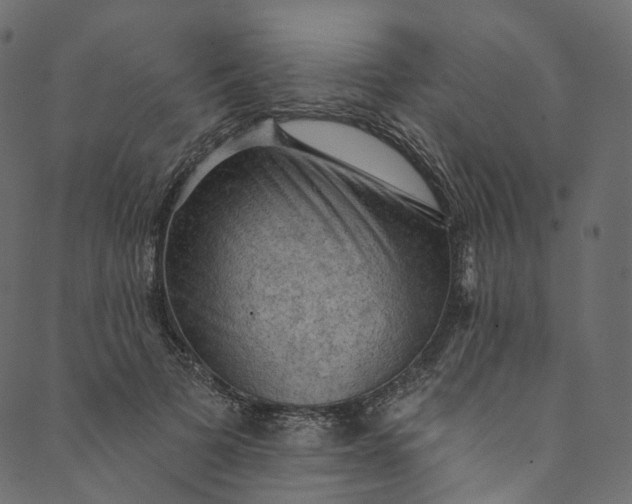 X0000089680697200707121249