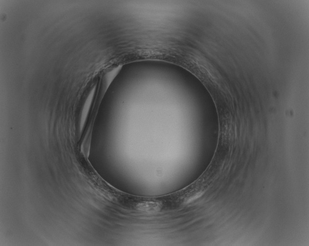 X0000089680700200707121249