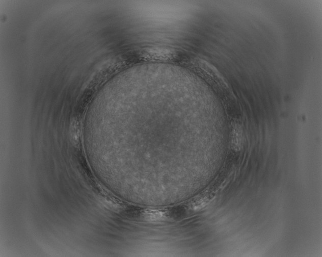 X0000089680701200707121249