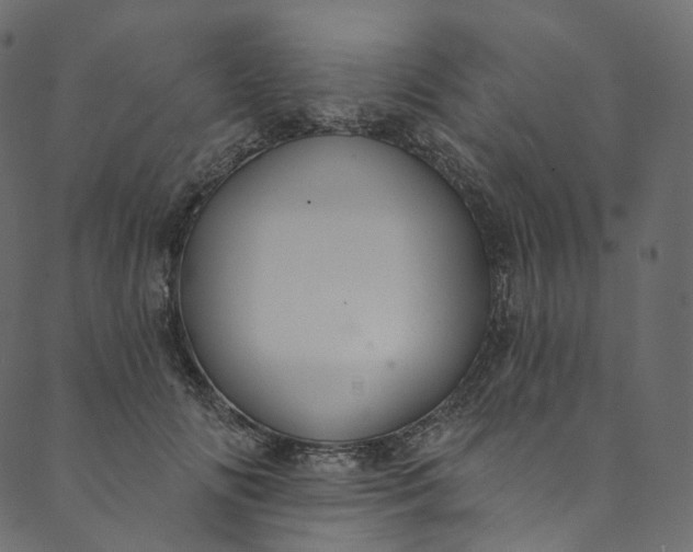 X0000089680702200707121249
