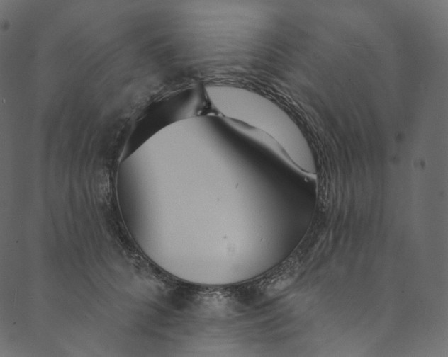 X0000089680704200707121249