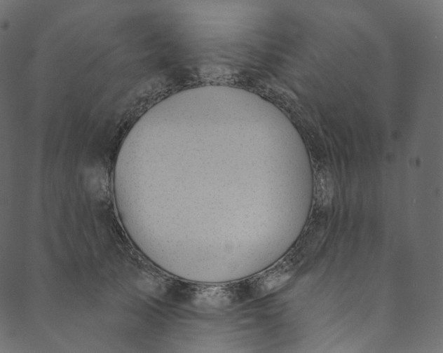 X0000089680705200707121249