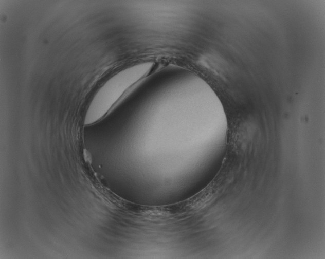 X0000089680708200707121249