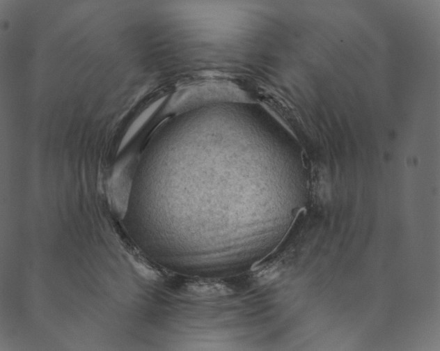 X0000089680712200707121249