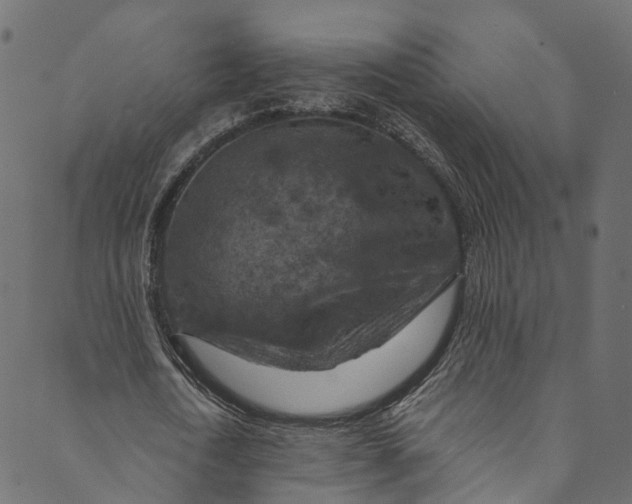 X0000089680722200707121248