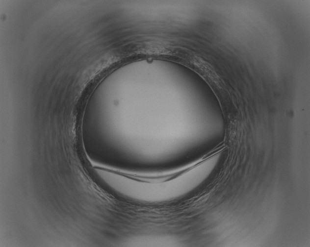 X0000089680727200707121248
