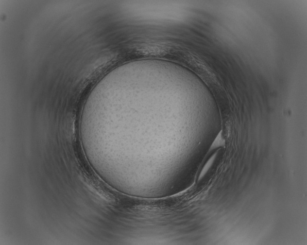 X0000089680733200707121248