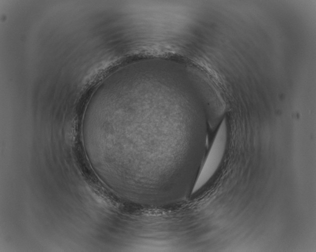 X0000089680736200707121248