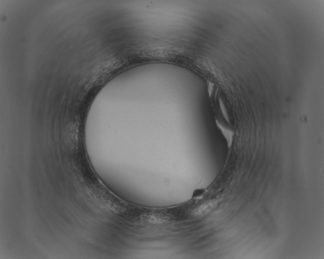 X0000089680739200707121248