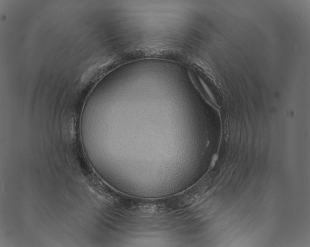 X0000089680740200707121248