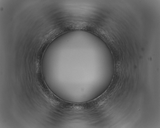 X0000089680741200707121248