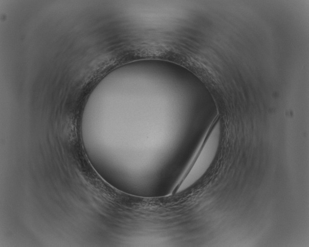 X0000089680743200707121248