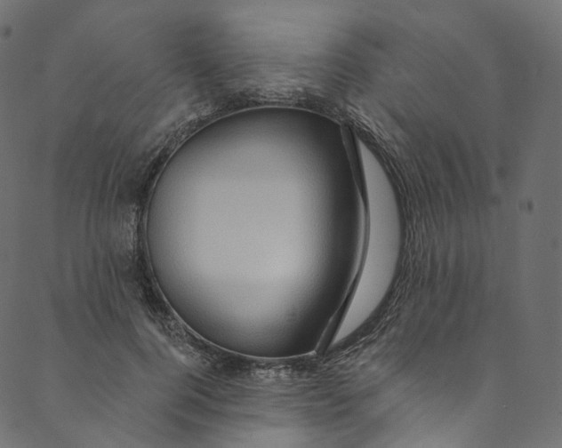 X0000089680744200707121248