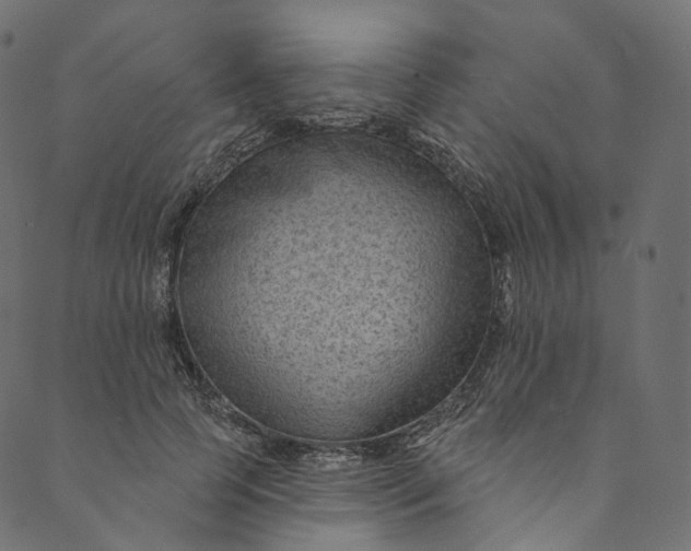 X0000089680745200707121248
