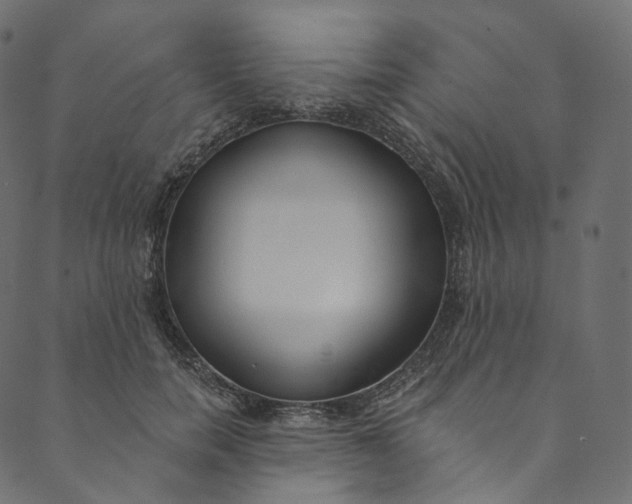 X0000089680750200707121248