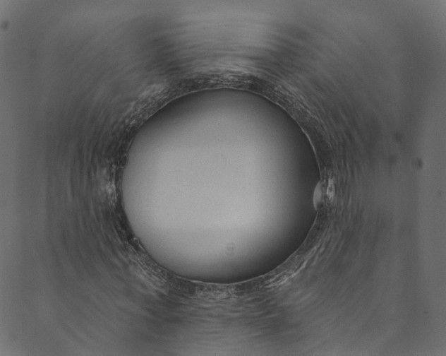 X0000089680771200707121248
