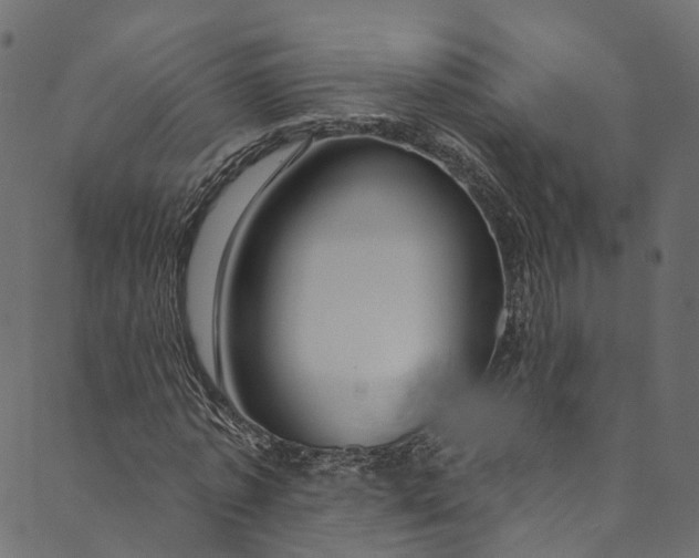 X0000089680773200707121248
