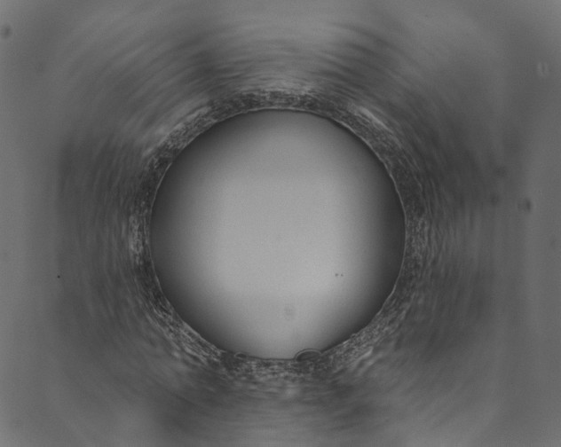 X0000089680774200707121248