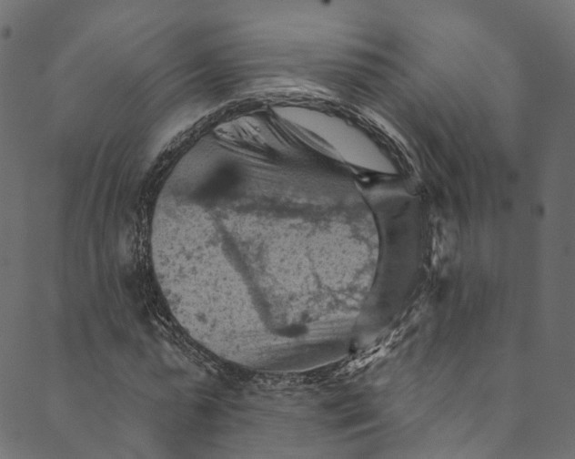 X0000089680775200707121248