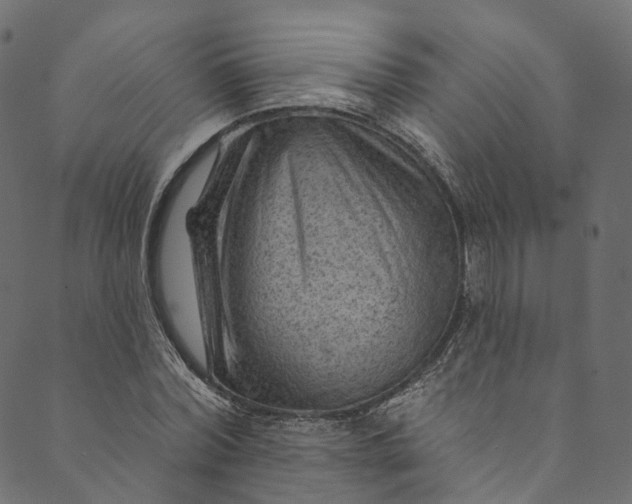 X0000089680780200707121248