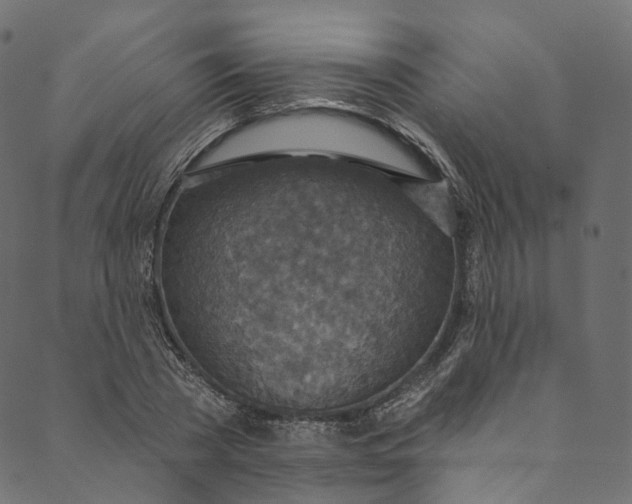 X0000089680785200707121248