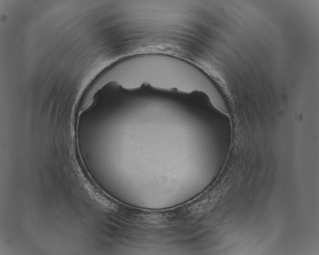 X0000089680792200707121248