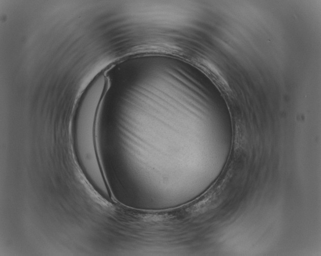 X0000089680796200707121247