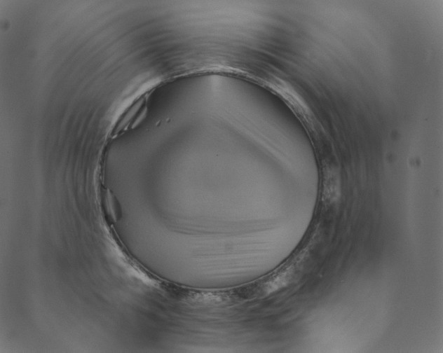 X0000089680806200707121247