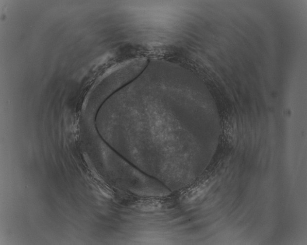X0000089680818200707121246