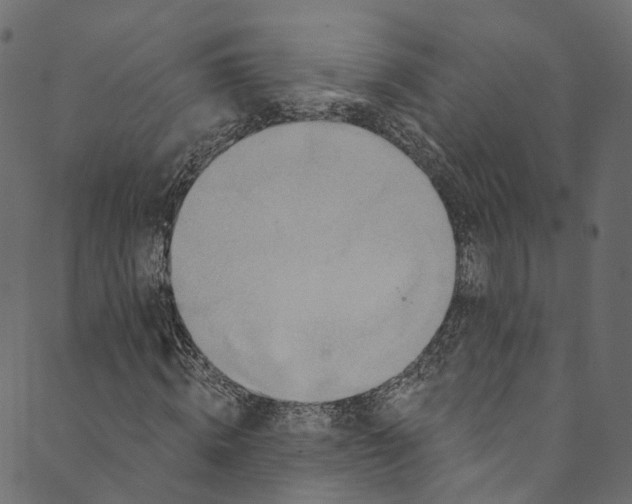 X0000089680820200707121246