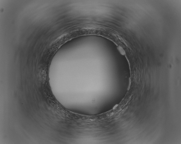 X0000089680821200707121246