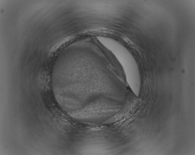 X0000089680822200707121246