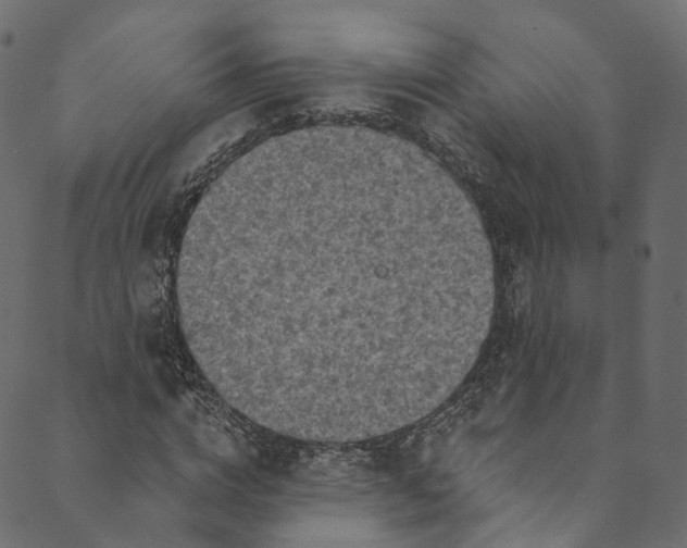 X0000089680824200707121246