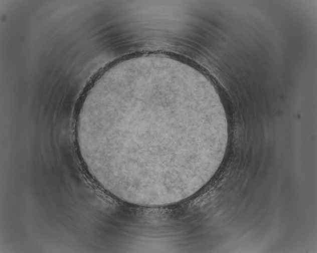 X0000089680832200707121247