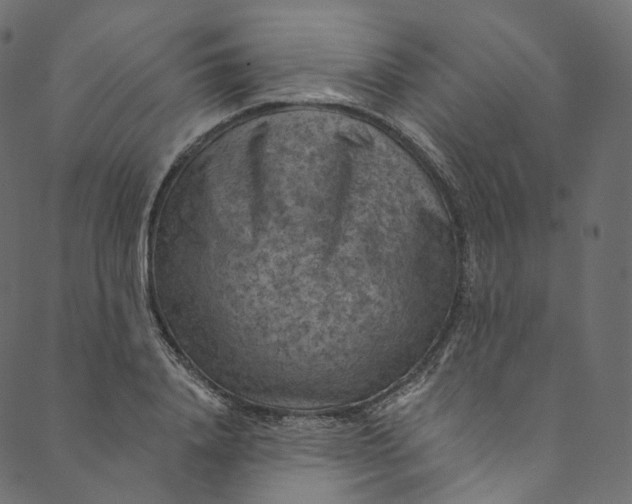 X0000089680840200707121247