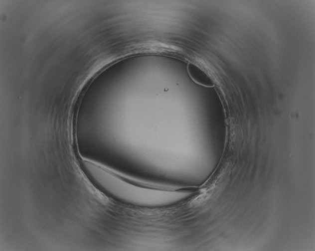 X0000089680843200707121247