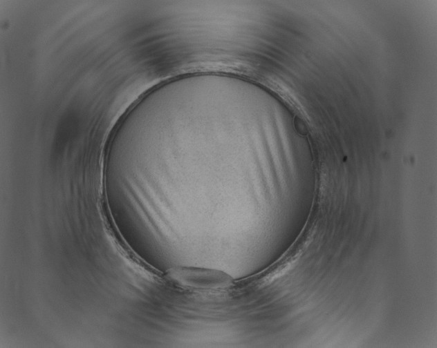X0000089680844200707121247