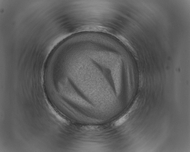 X0000089680846200707121247