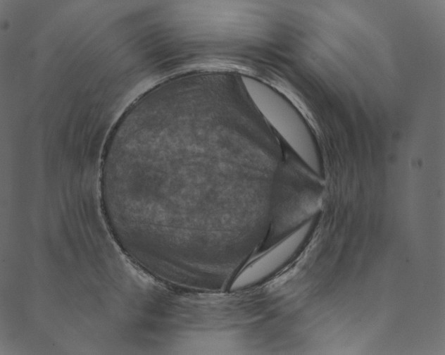 X0000089680853200707121247