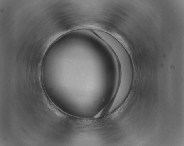 X0000089680862200707121247
