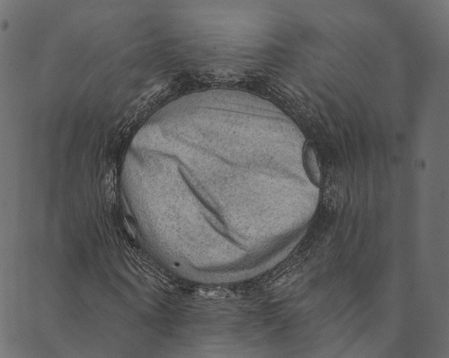 X0000089680866200707121246