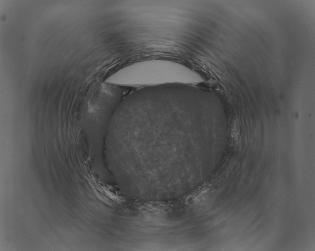 X0000089680868200707121246