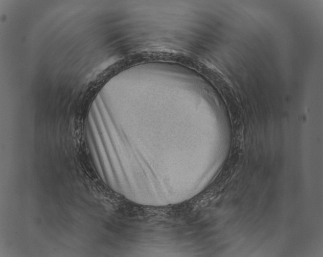 X0000089680870200707121246