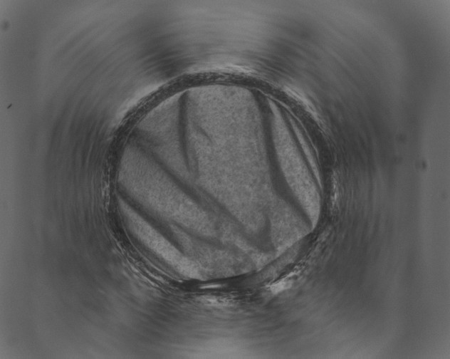 X0000089680872200707121246