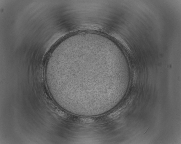 X0000089680878200707121246