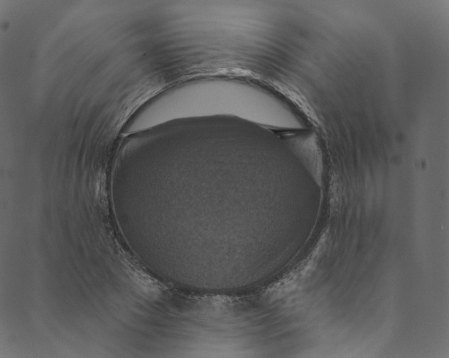 X0000089680881200707121246