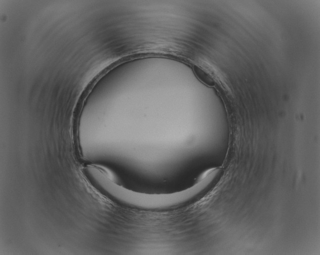 X0000089680884200707121246